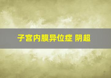 子宫内膜异位症 阴超